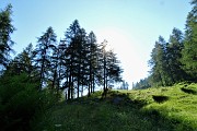 22 Salendo i pascoli delle Foppe